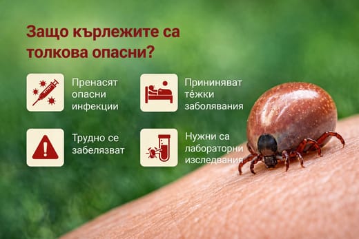 болести от кърлежите